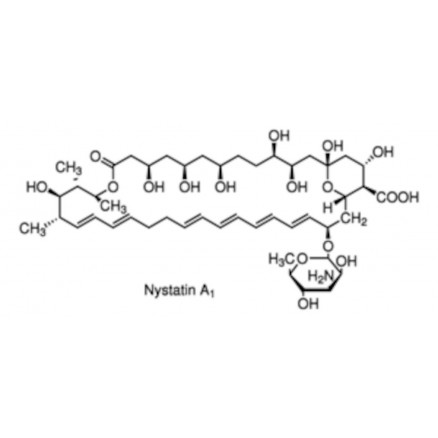 NYSTATIN SUSPENSION SIGMA N1638 - 100ML