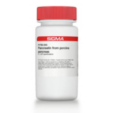 PANCREATINE DE PANCREAS PORC SIGMA P1750 - 100G