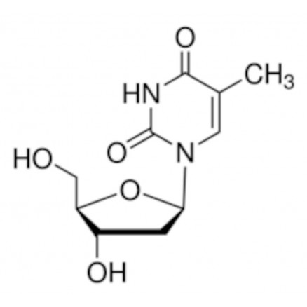THYMIDINE BIOREAGENT SIGMA - T1895 - 1G