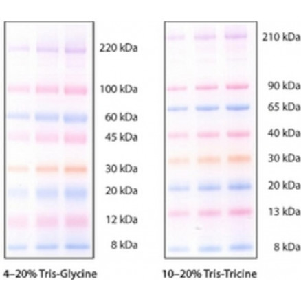 COLORBUST ELECTROPHORESIS MARKER SIGMA C1992 - 1VL