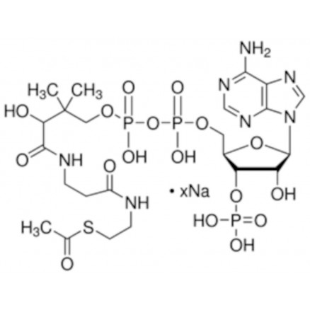 ACETYL COENZIM A SODIUM SEL SIGMA A2056 - 1MG