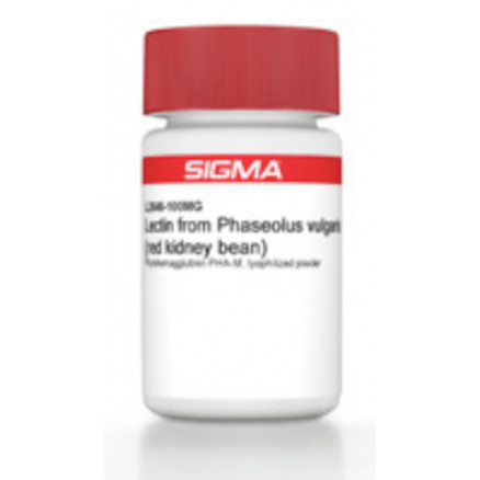 LECITINE PHASOLUS VULGARIS SIGMA L2646 - 100MG