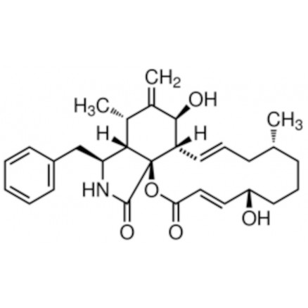 CYTOCHASALIN B SOLUTION PAE SIGMA C2743-200UL