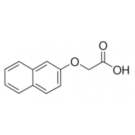 2-NAPHTHOXYACETIQUE ACIDE SIGMA N3019-25G