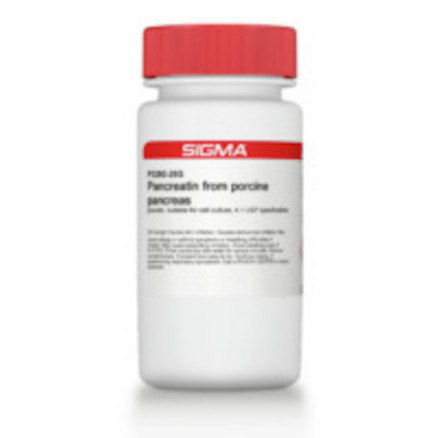 PANCREATINE DE PORC EN POUDRE P3292 - 100G