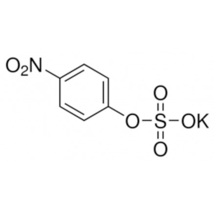 POTASSIUM 4-NITROPHENYL SULFATE SIGMA N3877 - 5G