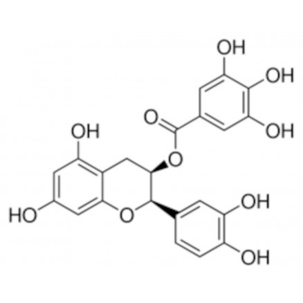 EPICATECHIN-(-)-GALLATE >98% HPLC SIGMA E3893 - 10MG