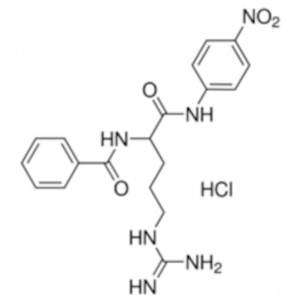 NA-BENZOYL-DL-ARGININE 4-NITRO ANILIDE >98% - B4875 - 10G