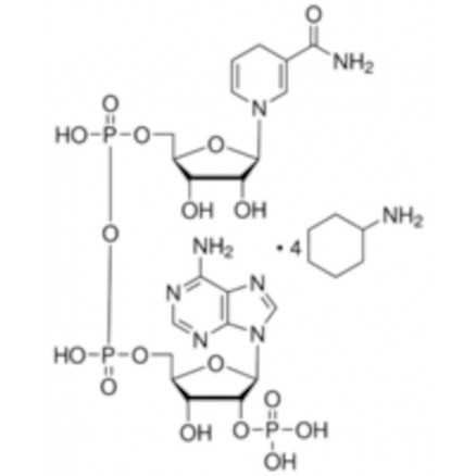 NICOTINAMIDE ADENINE DINUCLEOT -IDE PHOSPHATE REDUIT - 25MG