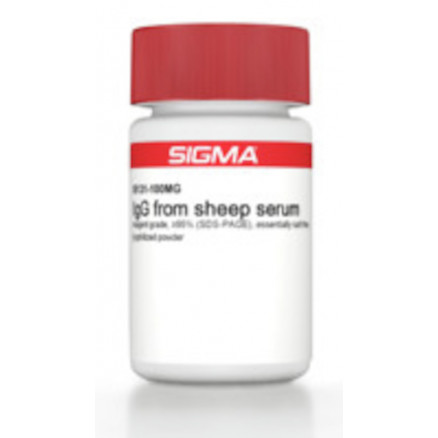 SERUM DE MOUTON IGG >95% SIGMA I5131 - 10MG