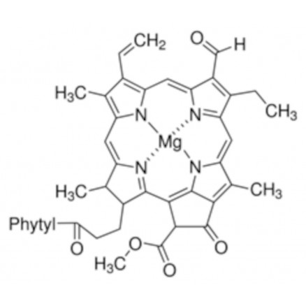 CHLOROPHYLL B AMPOULE SCELLEE SIGMA C5878 - 1MG