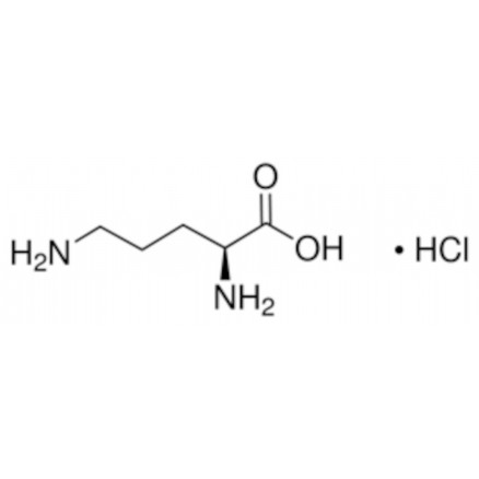 ORNITHINE MONOHYDROCHLORIDE >99% SIGMA O6503-100G