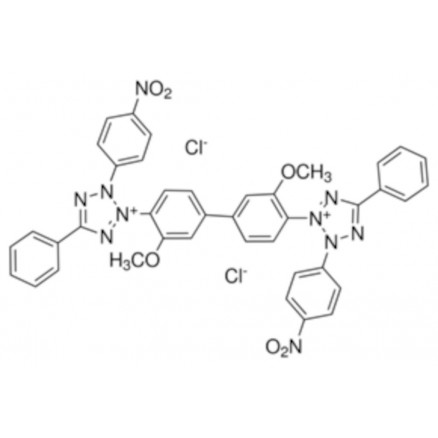 CHLORURE DE BLEU DE NITROTETRAZOLIUM N6639 - 50MG