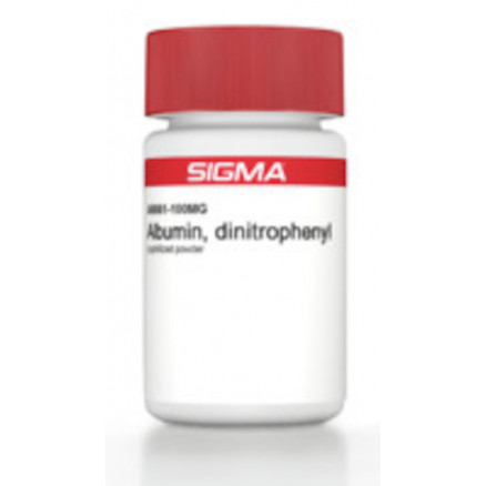 ALBUMIN DINITRPHENYL SIGMA A6661 - 100MG