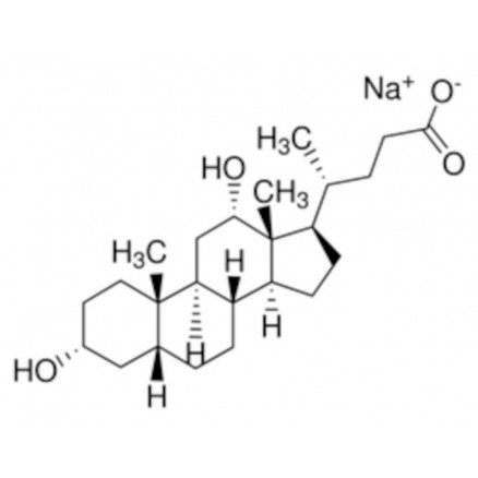 SODIUM DEOXYCHOLATE >97% D6750 - 100G
