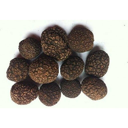 TRUFFE 3-5 MM - 100G