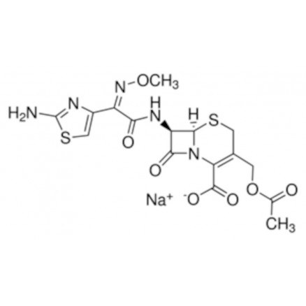 CEFOTAXIME SEL DE SODIUM C7039 - 100 MG
