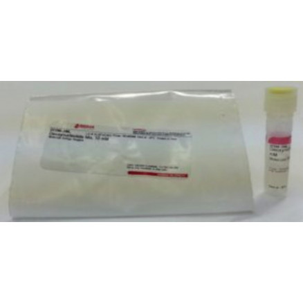 DEOXYNUCLEOTIDE MIX 10NM SIGMA D7295 - 0.2ML