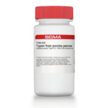 TRYPSINE DE PANCREAS DE PORC EN POUDRE - SIGMA T7409 - 10G