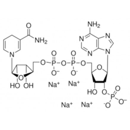 2'-NDADPH HYDRATE >97% (HPLC) SIGMA N7505 - 1G