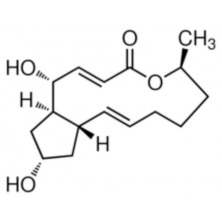 BREFELDIN A 99% SIGMA B7651 - 5MG