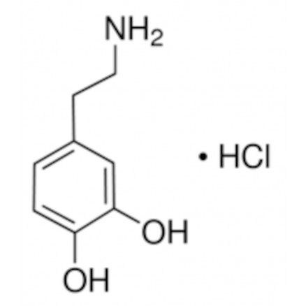 DOPAMINE CHLORHYDRATE H8502 - 25G