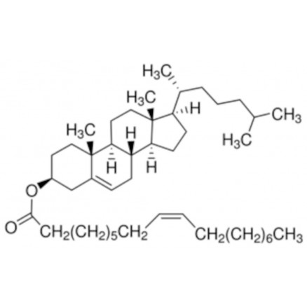CONGELE VOYAGEANT A TEMPERATURE AMB C9253-100MG