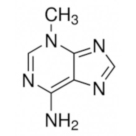 3-METHYLADENINE SIGMA M9281 -500MG