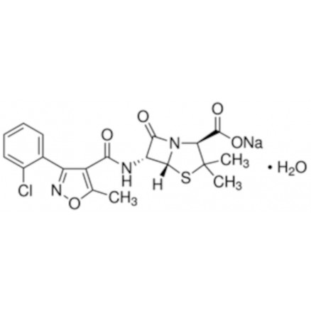 CLOXACILLINE SEL DE SODIUM MONOHYDRATE SIGMA C9393 - 1G