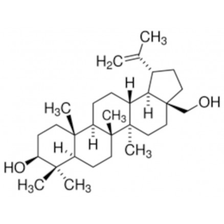 BETULINE >98% SIGMA B9757-1G