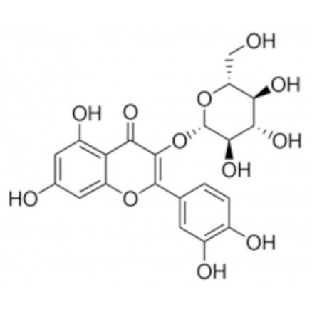 QUERCETIN-3-GLUCOSIDE FLUKA 16654 - 10MG