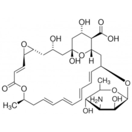 NATAMYCIN STANDARD ANALYTIQUE FLUKA 32417 - 50MG