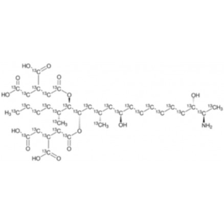 STANDARD ANALYTIQUE FUMONISIN B3-13C34 10MG/L 32916 - 1ML