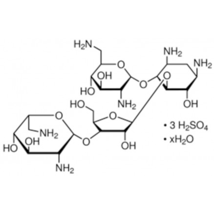 NEOMYCIN TRISULFATE HYDRATE STANDARD FLUKA 33492 - 100MG