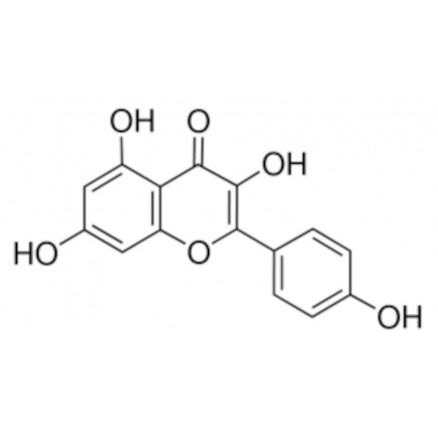 KAEMPFEROL  >97% (HPLC) SIGMA 60010 - 25MG