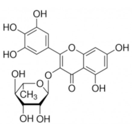 MYRICITRINE >95% FLUKA 68268-10MG