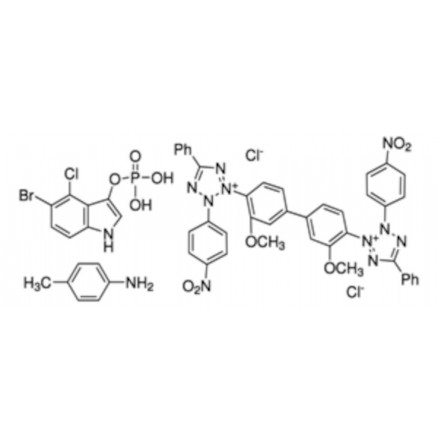 NBT - BCIP SOLUTION SIGMA 72091 - 10ML