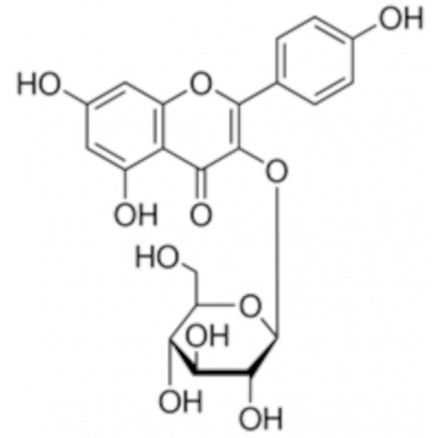 KAEMPFEROL-BETA-D-GLUCOPYRANO- SIDE - SIGMA - 79851 - 25MG