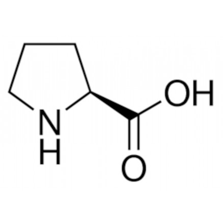 L-PROLINE BIO ULTRA >99.5% SIGMA 81709-10G