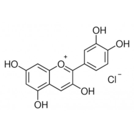 CHLORURE DE CYANIDINE SIGMA - 94099 - 10MG