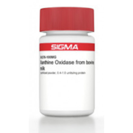 XANTHINE OXIDASE, FROM BOVINE MILK SIGMA X4376-5UN