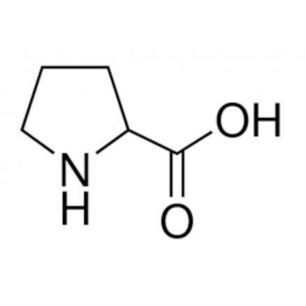 DL-PROLINE REAGENTPLUS 99% SIGMA 171824 - 5G