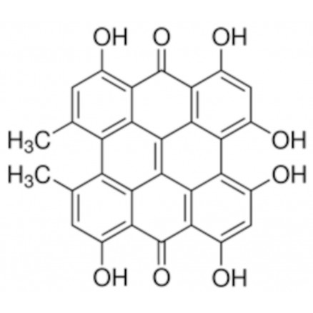 HYPERICINE ETALON REFERENCE SIGMA 00190585 - 10MG