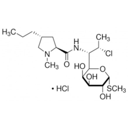 HYDROCHLORURE DE CLINDAMYCINE SIGMA C2250000-1EA