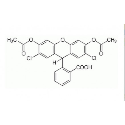 2',7'-DICHLOROFLUORESCIN DIACETATE >94% HPLC - 100MG