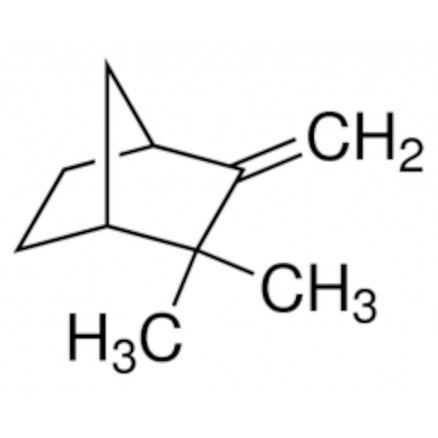 CAMPHENE 95% SIGMA 456055 - 25G