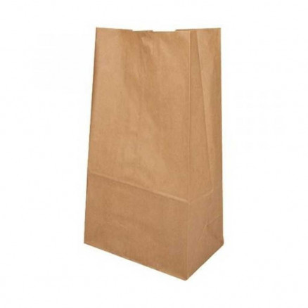 SACHET EN PAPIER KRAFT BRUN 320X560X200MM PACK DE 100