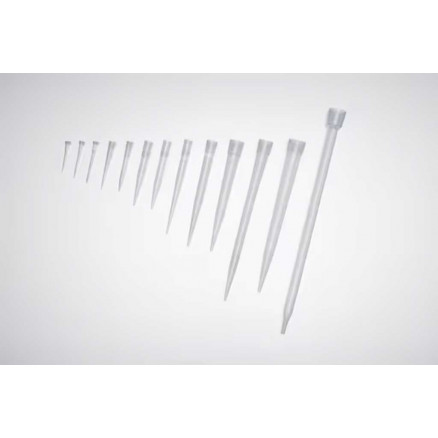 POINTES EP TIPS EPPENDORF 0,1-10UL - 10 RACKS DE 96