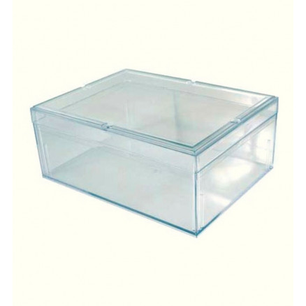 BOITE RANGEMENT TRANSPARENTE & COUVERCLE D.240X180X100MM