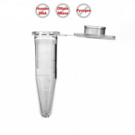 MICROTUBE CLEARLINE PP 1,5ML DIAM.10,8X41MM NATUREL - X1000